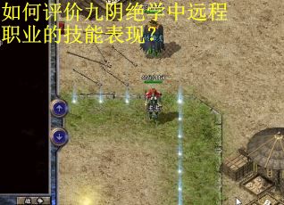 如何评价九阴绝学中远程职业的技能表现？
