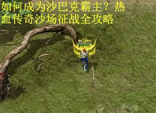 如何成为沙巴克霸主？热血传奇沙场征战全攻略