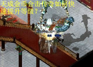 天成金币合击传奇如何快速提升等级？