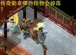 传奇勋章哪些怪物会掉落？